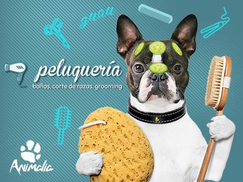 Animalia  - Veterinaria y Boutique